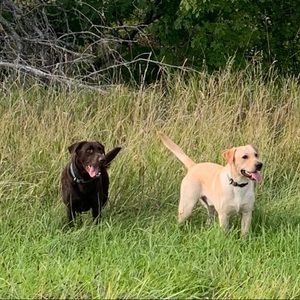 Meet your Posher, Dana